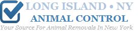 Animal Control | Long Island | Animal Removal